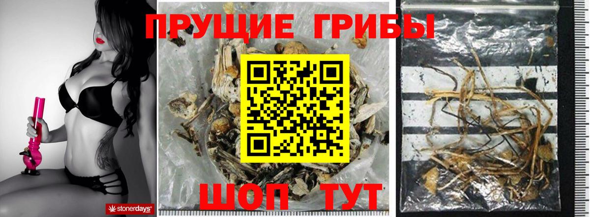 Псилоцибиновые грибы Magic Shrooms Новозыбков