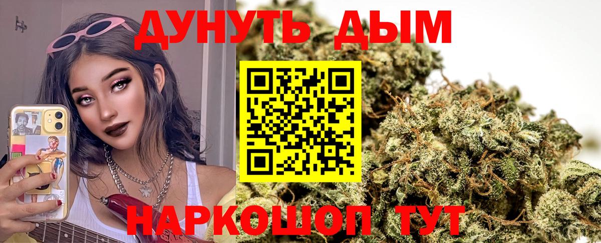 Шишки марихуана конопля  Шишки марихуана семена  Вход с VPN  Новозыбков  Канабис Ganja 